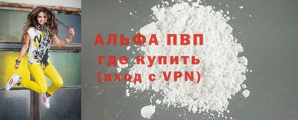 стафф Вязьма